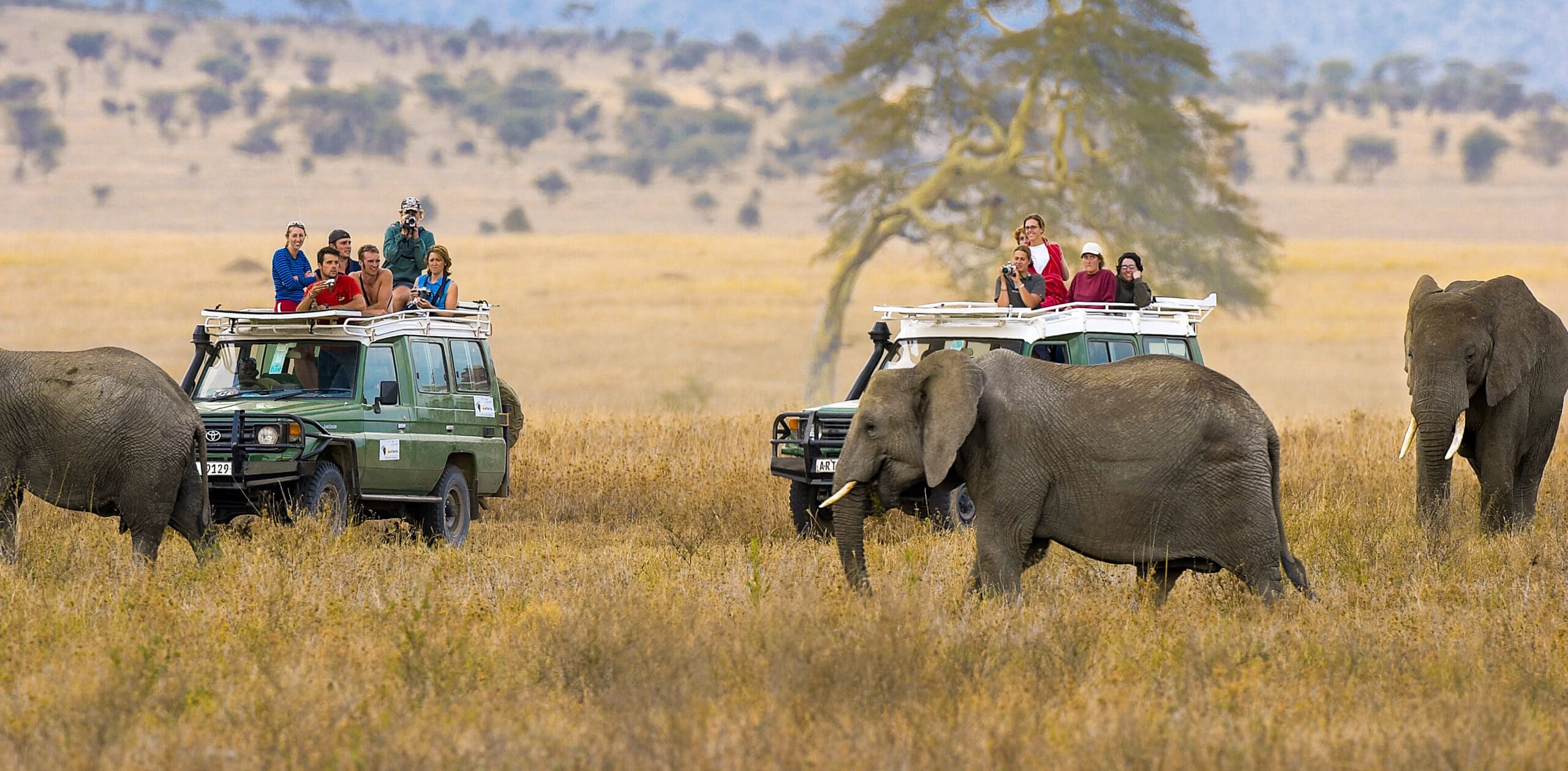 Game Drives
