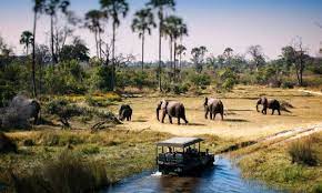 Wildlife