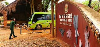 3-DAY SAFARI FLY FROM ZANZIBAR TO NYERERE NATIONAL PARK Tanzania safari package